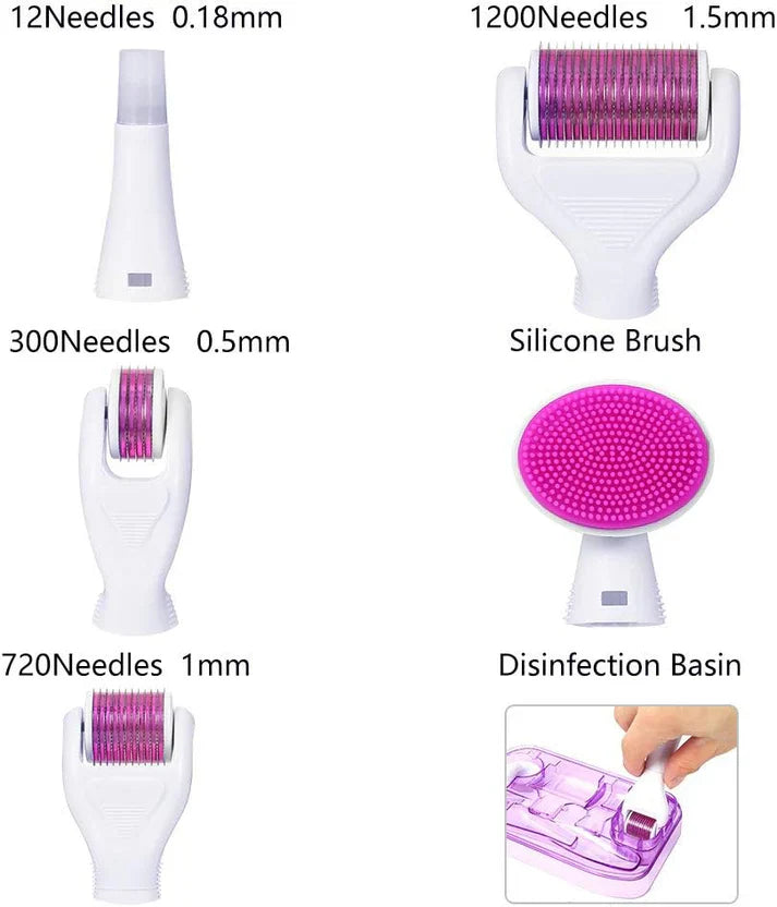 6-in-1 Microneedling Derma Roller Kit